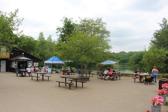 Front view of Southwater Country Park